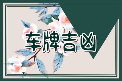 车牌数字解读